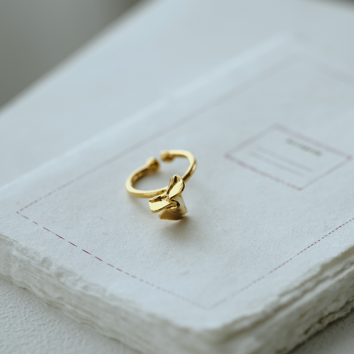 Unsent Ring